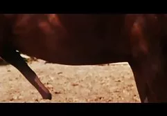 Grube dziecko dwóch kogutów z obu stron filmy erotyczne i pornograficzne