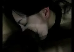Niedźwiedź Lady filmy masaze erotyczne las